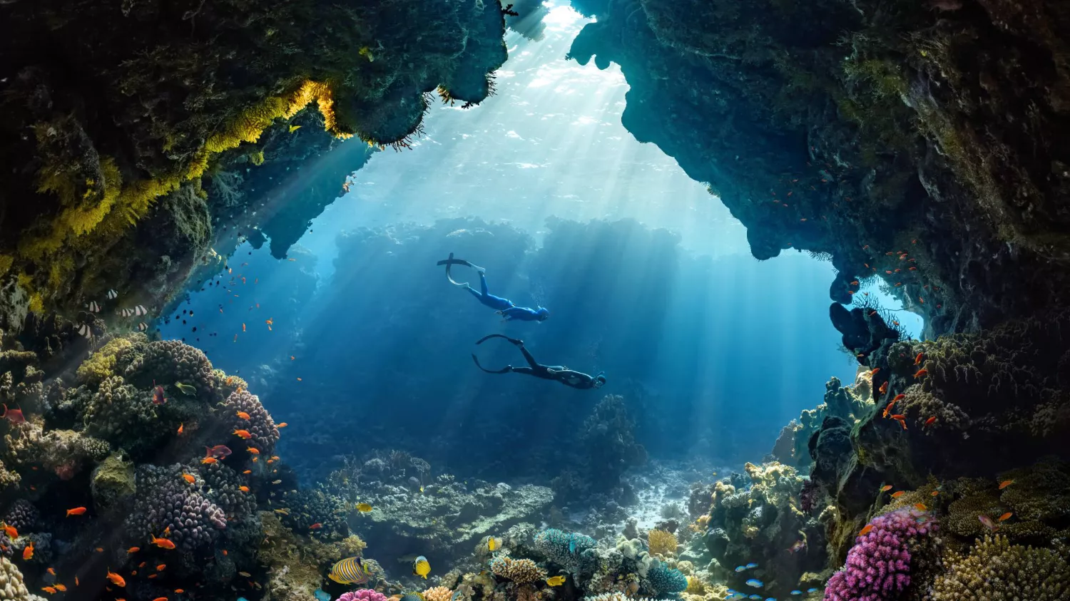 Diving in the Red Sea
